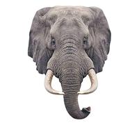 STAR CUTOUTS Ltd Elefante con Colmillos Máscara de una sola cara, multicolor