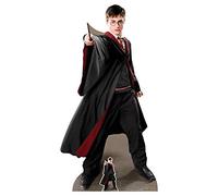 STAR CUTOUTS Ltd SC1478 Captain Cardboard Cutout Height 170cm Quidditch Capitán Lifesize Cartón Recorte - Harry Potter Party ThemeHeight 170 cm, sólido, Color, Normal