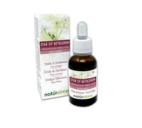 Star of Bethlehem o Estrella de Belén (Ornithogalum umbellatum) Remedios florales Naturalma - Gotas 30 ml - Extracto líquido sin alcohol - Esencias florales - Vegano y libre de alcohol
