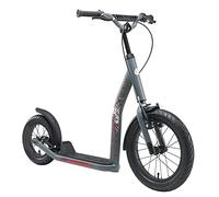 STAR SCOOTER Patinete Infantil 2 Ruedas a Partir de 8 años | Kick Scooter 16" neumáticos, Ajustable en Altura para niñas y niños | Gris