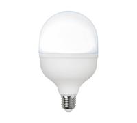 STAR TRADING Bombilla LED E27, 30 W, opalina, 6500 K, 4000 lúmenes, redonda EC:EPREL:2356930