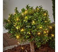 STAR TRADING Dew Drop - tiras de luces solares, 250 cm de largo