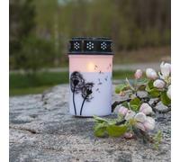 STAR TRADING Luz LED para tumbas Diente de león, 12 cm blanco/negro pila de plástico