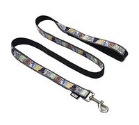 Star Wars All Star Characters - Correa de Perro de 4 pies | Correa de Perro de 4 pies se Fija fácilmente a Cualquier Collar o arnés de Perro | Correa de Nailon para Perro con Personajes de Star Wars