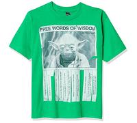 Star Wars Dark Lords Boy's Solid Crew Tee, Kelly Green, Youth X-Large