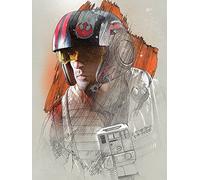 Star Wars: El último Jedi PoE de Pinceladas 60 x 80 cm, Color Multicolor