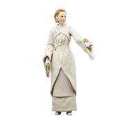 Star Wars Hasbro The Black Series - Senadora Mon Mothma - Andor - Figuras Coleccionable de 15 cm - a Partir de 4 años, F5530