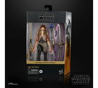 Star Wars F04905L0 figura de acción y colleccionable