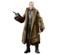 Star Wars The Black Series F55295X0 toy figure