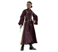 Star Wars The Black Series - Padmé Amidala - Star Wars: La Amenaza Fantasma - Figura Coleccionable de 15 cm - A Partir de 4 años
