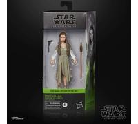Star Wars The Black Series F43525X0 toy figure