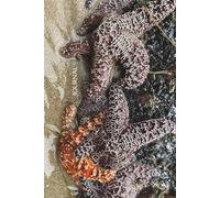 Starfish Journal: dotted graph paper notebook, 6x9, sketch book, list journal: writing with the moon