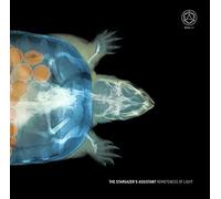 Stargazer's Assistan - Remoteness of Light [Vinilo]