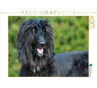 Starick Sigrid CALVENDO - Puzzle de 1000 Piezas (64 x 48 cm), diseño de Perro Afgano