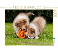 Starick Sigrid - Puzzle de Cachorros (1000 Piezas, 64 x 48 cm)