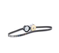 STARK SKRBS-1200015 Juego de correas trapeciales poli V para FORD KA (RU8)