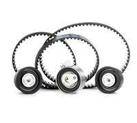 Kit de correa de distribución INA 530 0049 10