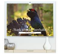 Stark wie der Auerhahn (hochwertiger Premium Wandkalender 2026 DIN A2 quer), Kunstdruck in Hochglanz: Entdecken Sie die Faszination des Auerhahns - ... majestätischer Präsenz und wilder Eleganz.
