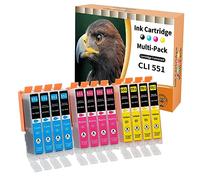 Starlet24 12x 551XL Cartuchos Compatibles para Canon CLI-551 551XL para Canon PIXMA iP-7200 iP-7250 MX-925 iP-8750 iX-6850 MG-5450 MG-5550 MG-5655 MG-6350 MG-6440 MG-7550 MX-725