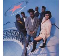 STARPOINT - HAVE YOU GOT WHAT IT TAKES LP (VINYL ALBUM) GERMAN ELEKTRA 1990