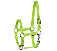 Start ILoveMyMini - Cabestro para potro ajustable en la barbilla y el cuello, cabestro para potro - cabestro para mini cabestro Shetty para caballo de madera (Foal, verde)
