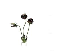 Startbuymore Jardín artístico de metal para escultura que imita Venus atrapamoscas para decoración al aire libre, arte de patio y diseño de paisaje botánico (17 cm)