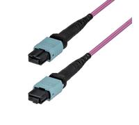 StarTech Cable de Fibra Óptica MTP/MPO de 1m - 12F Type-B OM4 Multimodo - Latiguillo de Fibra MTP/PC Hembra 50/125µm OFNP Plénum - MTP-12