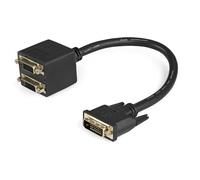 StarTech Cable Divisor DVI-D 30cm - Macho a 2x Hembra (DVISPL1DD) | Duplicador de video, 2 puertos, Pantallas duplicadas