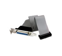 StarTech.com - Adaptador de 40cm Header Cabezal Bracket Paralelo Perfil Bajo DB25 a IDC26 Pines Placa Base