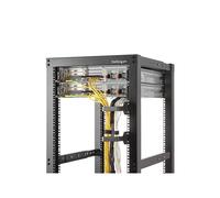 StarTech.com - Anilla Pasacables en D Multi-Direccional para Gestión de Cableado en Armarios Racks - 6x10cm