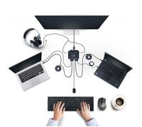 StarTech.com C2-D46-UC2-CBL-KVM interruptor KVM Negro