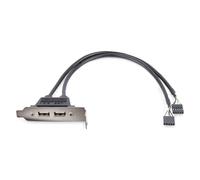 StarTech.com - Cabezal Bracket Perfil Bajo de 2 puertos USB 2.0 con conexión a Placa Base 2x IDC5 - Low Profile