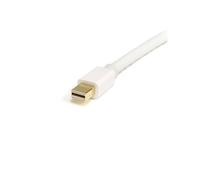 StarTech.com Cable de 1m Mini DisplayPort a DisplayPort 1.2 - Cable Adaptador Mini DisplayPort a DisplayPort 4K x 2K UHD - Cable para Monitor Mini DP a DP - Blanco (MDP2DPMM1MW)
