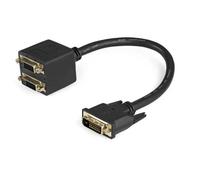 StarTech.com - Cable Duplicador Divisor de Vídeo DVI-D de 2 Puertos Salidas Compacto - Bifurcador