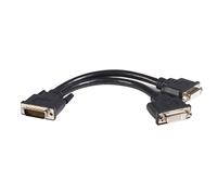 Startech DMSDVIDVI1 - Cable Adaptador de 20 cm LFH59 DMS-59 a DVI-D Doble (DMS59 Macho, 2X DVI-D Hembra, Doble Cabeza) Negro