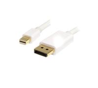StarTech.com - Cable Adaptador de 2m de Monitor Mini DisplayPort 1.2 Macho a DP Macho - 4k Blanco
