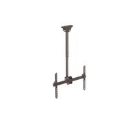STARTECH Soporte de techo corto para TV de pantalla plana VESA de 37" a 75" - Soporte de monitor multidireccional - Acero resistente