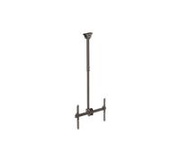 STARTECH Soporte de Techo Inclinable para TV de Pantalla Plana de 32" a 70" - para TV LCD, LED o Plasma - 1 Pantalla(s)