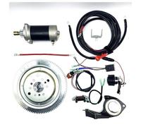 Starter Motor PARA F30HMHS L HWL MHL 2 Tiempos 496CC T25 E30 25HP 30HP T30 KIT ARRANQUE ELÉCTRICO PARA MOTOR ARRANQUE FUERA BORDA VOLANTE BOBINA CARGA Motor Arranque(With Coil)