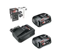 Bosch Kit básico de batería y cargador rápido Starter Set 18V (2 baterías de litio de 2,5Ah; 1 cargador rápido; 18V POWER FOR ALL ALLIANCE)