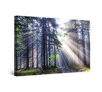 Startonight Cuadro Moderno en Lienzo Luz en el Bosque, Paisaje Árboles Para Salon Impresiones Enmarcadas 80x120 cm, Grande Decoración Pared, Idea de Regalo Elegante Efecto Día y Noche