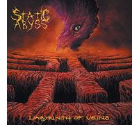 Static Abyss - Labyrinth Of Veins [Vinilo]