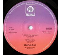 STATUS QUO - STATUS QUO - DOWN THE DUSTPIPE 12in (22549)