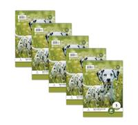 Staufen Style Bloc de notas espiral LIN 5-5 blocs de 40 hojas cada uno, DIN A5, 70 g/m², cuadriculado (5 mm)