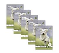 Staufen Style bloc espiralado LIN 1-5 blocs de 40 hojas cada uno, DIN A5, 70 g/m², rayado (5/5/5 mm)