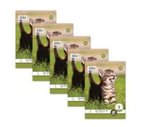 Staufen Style bloc espiralado LIN 2-5 blocs de 40 hojas cada uno, DIN A5, 70 g/m², rayado (4/4/4 mm)