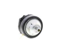 STC Soporte, motor para MINI: MINI (Ref: T405135)