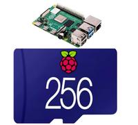STEADYGAMER - 256 GB Raspberry Pi precargado (Raspberry Pi OS / Raspbian) Pro Plus MicroSD | 400, 4, 3B+, 3 3B, 2, Zero | Compatible con todos los modelos Pi (256 GB)