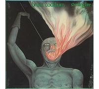 Stealing Fire [Vinilo]