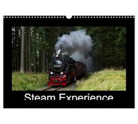 Steam Experience (Wall Calendar 2026 DIN A3 landscape), CALVENDO 12 Month Wall Calendar: Steam locomotives in the heart of Germany